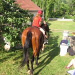 treti-farni-den168