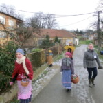 trikralova-sbirka-038