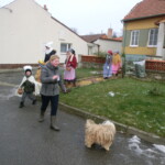 trikralova-sbirka-042