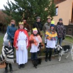 trikralova-sbirka-063