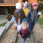 trikralova-sbirka-100