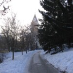 trikralova-sbirka-2006-19.jpg