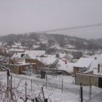 trikralovka-2010-082