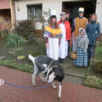 trikralovka-2013-078