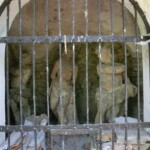 v-mikulove-na-pouti-055