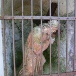 v-mikulove-na-pouti-060