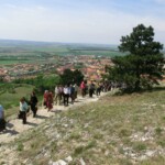 v-mikulove-na-pouti-079