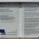 v-mikulove-na-pouti-093