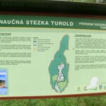 v-mikulove-na-pouti-139