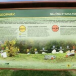 v-mikulove-na-pouti-146