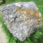 v-mikulove-na-pouti-149