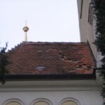 vichrice-emma-01.jpg