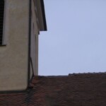 vichrice-emma-05.jpg
