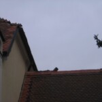 vichrice-emma-09.jpg