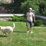 vykop-kanalizace08.jpg