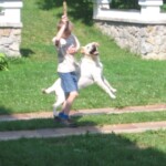 vykop-kanalizace09.jpg