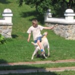 vykop-kanalizace14.jpg
