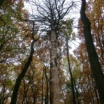 vylet-do-klobouk-032