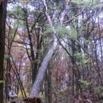 vylet-do-klobouk-034