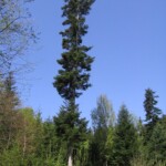 vylet-do-moravskeho-krasu28.jpg