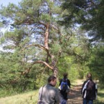 vylet-do-moravskeho-krasu34.jpg