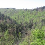 vylet-do-moravskeho-krasu36.jpg