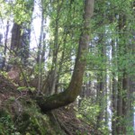 vylet-do-moravskeho-krasu52.jpg