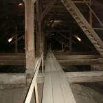 vylet-do-rajhradu-009