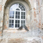 vylet-do-rajhradu-028