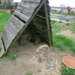 vylet-do-rajhradu-056