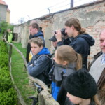 vylet-do-rajhradu-059