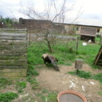 vylet-do-rajhradu-060