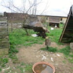 vylet-do-rajhradu-061