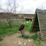 vylet-do-rajhradu-062