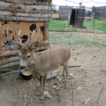 vylet-do-rajhradu-066