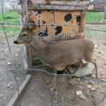 vylet-do-rajhradu-067