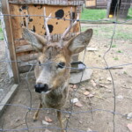 vylet-do-rajhradu-068