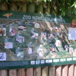 vylet-do-zoo-004