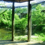 vylet-do-zoo-006