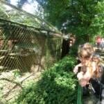 vylet-do-zoo-008