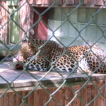vylet-do-zoo-009
