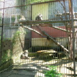 vylet-do-zoo-010