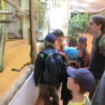 vylet-do-zoo-011