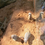 vylet-do-zoo-024