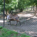 vylet-do-zoo-033