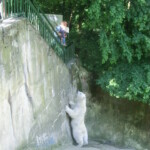 vylet-do-zoo-039