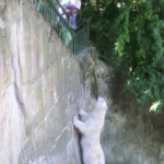 vylet-do-zoo-040