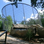 vylet-do-zoo-041