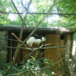 vylet-do-zoo-042