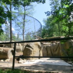 vylet-do-zoo-043